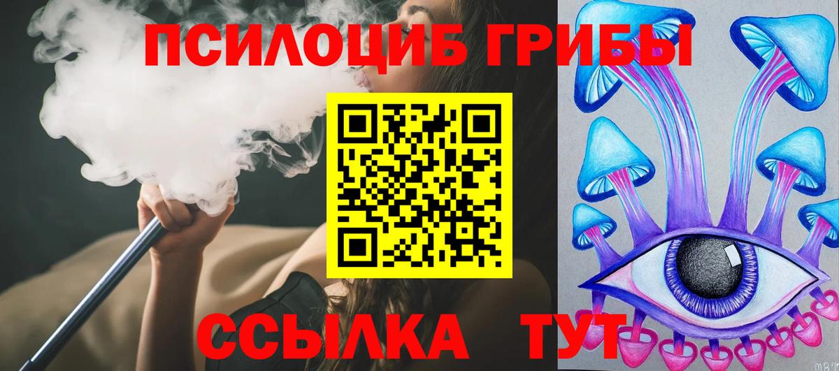 Галлюциногенные грибы Psilocybine cubensis Туймазы